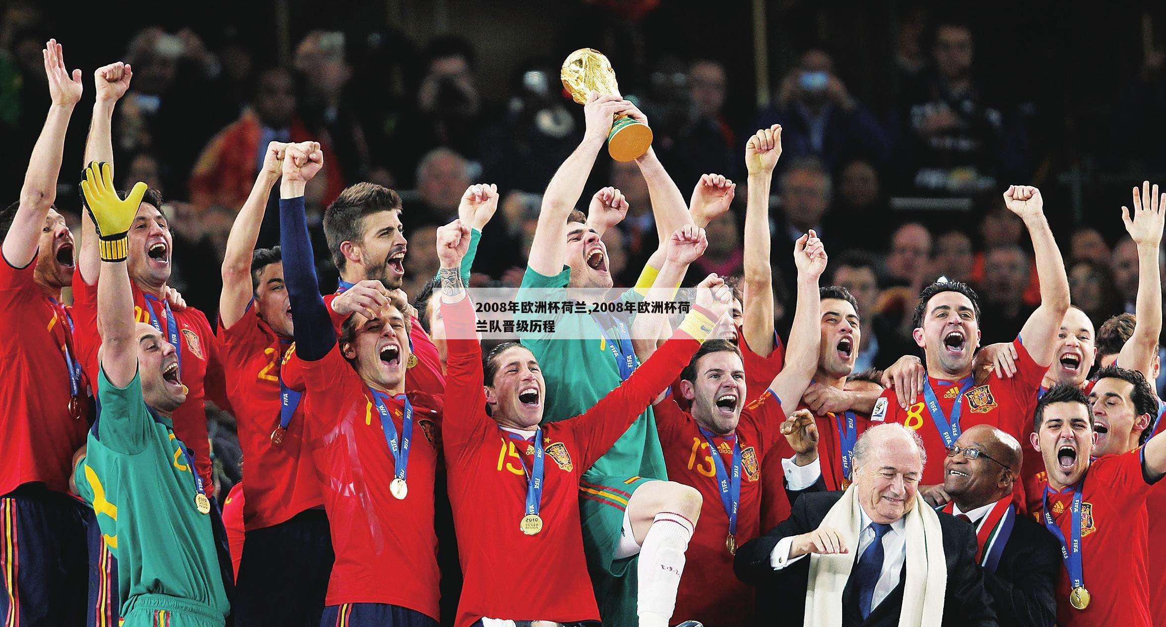 2008年欧洲杯荷兰,2008年欧洲杯荷兰队晋级历程